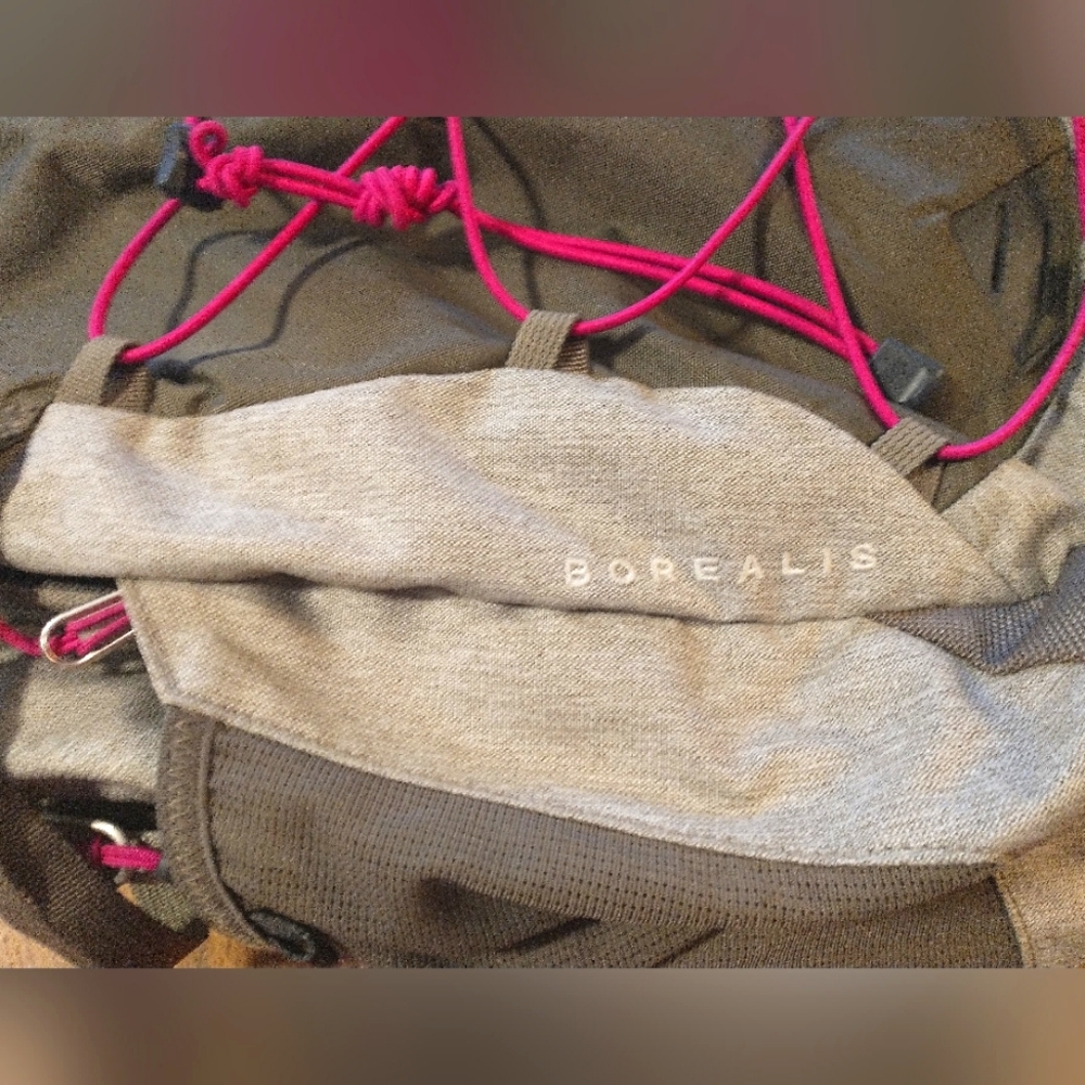 The North face Borealis W bagpack